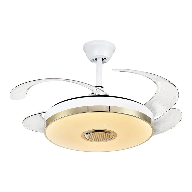Luminous Light Ceiling Fan with Bluetooth Speaker Remote Control