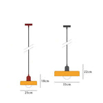 LED Ceiling Chandelier: Nordic Style Bedroom Dining Room Decor Pendant Lamp