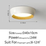 Nordic LED Ceiling Lamp for Living Room Bedroom, Surface Mounted Luminaire