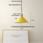 Afralia™ Iron Lampshade LED Pendant Lights, Adjustable Modern Hang Lamp