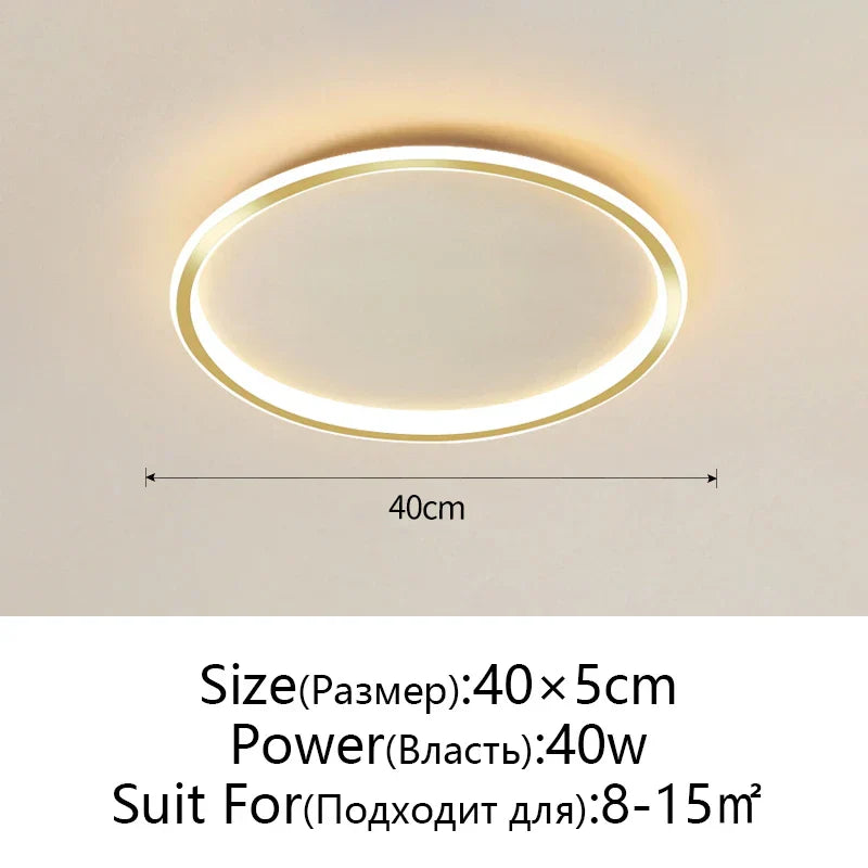 Dimmable LED Ceiling Light for Modern Nordic Home Living Room Lighting