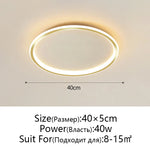 Dimmable LED Ceiling Light for Modern Nordic Home Living Room Lighting
