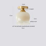 Walnut LED Ceiling Lamp Modern Indoor Lighting Fixture