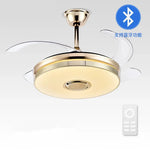 Luminous Light Ceiling Fan with Bluetooth Speaker Remote Control