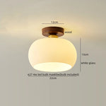 Walnut LED Ceiling Lamp Modern Indoor Lighting Fixture