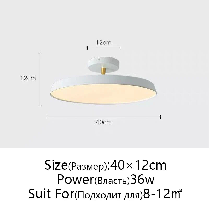 Nordic Minimalist LED Ceiling Lamp, Dimmable Modern Chandelier for Bedroom & Kitchen
