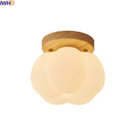 LED Modern Ceiling Light for Living Room Balcony, Nordic Style Indoor Lighting Fixtures