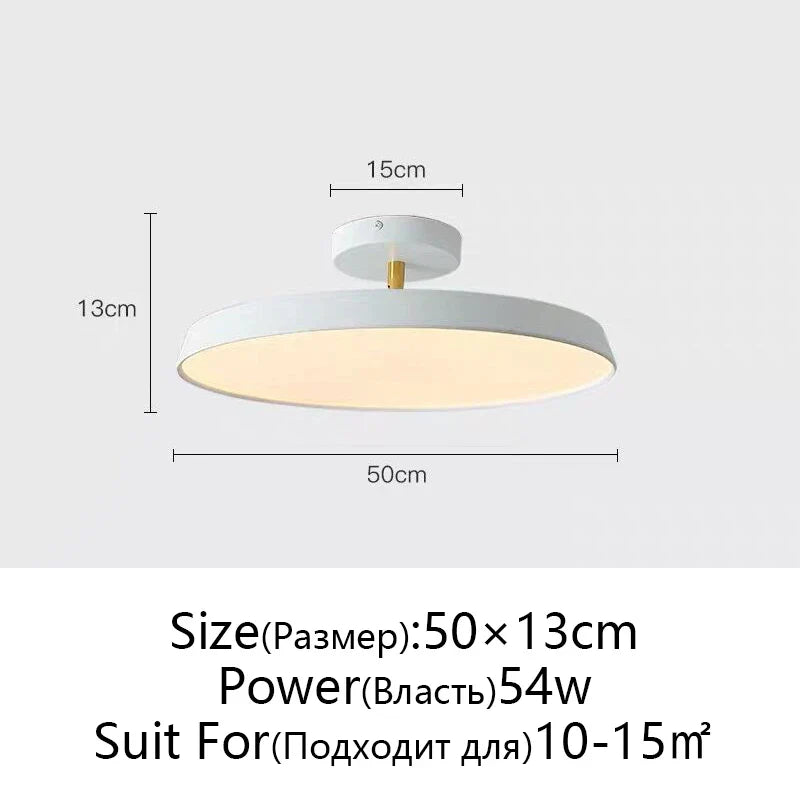 Nordic Minimalist LED Ceiling Lamp, Dimmable Modern Chandelier for Bedroom & Kitchen