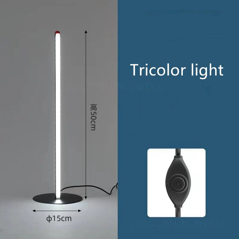 Minimalist LED Floor Lamp for Bedroom & Living Room Decoration with Remote