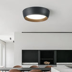 Nordic LED Ceiling Lamp for Living Room Bedroom, Surface Mounted Luminaire