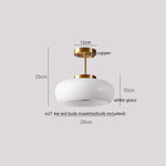 Walnut LED Ceiling Lamp Modern Indoor Lighting Fixture