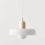 LED Ceiling Chandelier: Nordic Style Bedroom Dining Room Decor Pendant Lamp