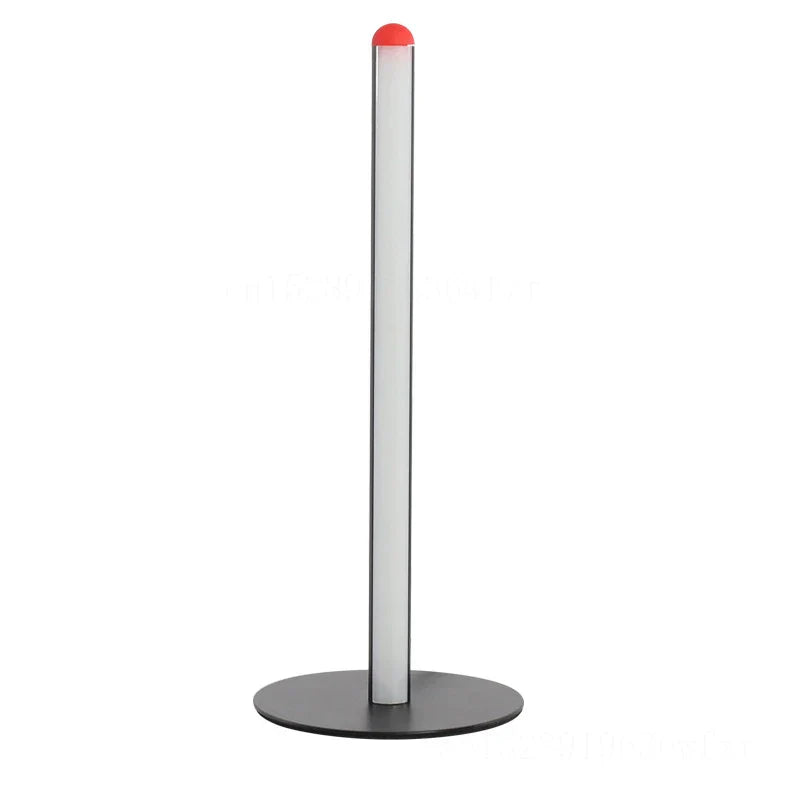 Minimalist LED Floor Lamp for Bedroom & Living Room Decoration with Remote