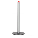 Minimalist LED Floor Lamp for Bedroom & Living Room Decoration with Remote