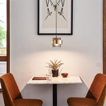 Modern LED Pendant Light for Chic Home Decor and Stylish Interior Lighting