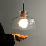 Clear Glass Pendant Lamp with LED Lights for Home Decor