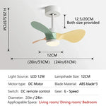24-Inch Mini Ceiling Fan with Lights, Modern Design for Home and Office