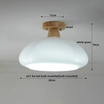 Walnut LED Ceiling Lamp Modern Indoor Lighting Fixture