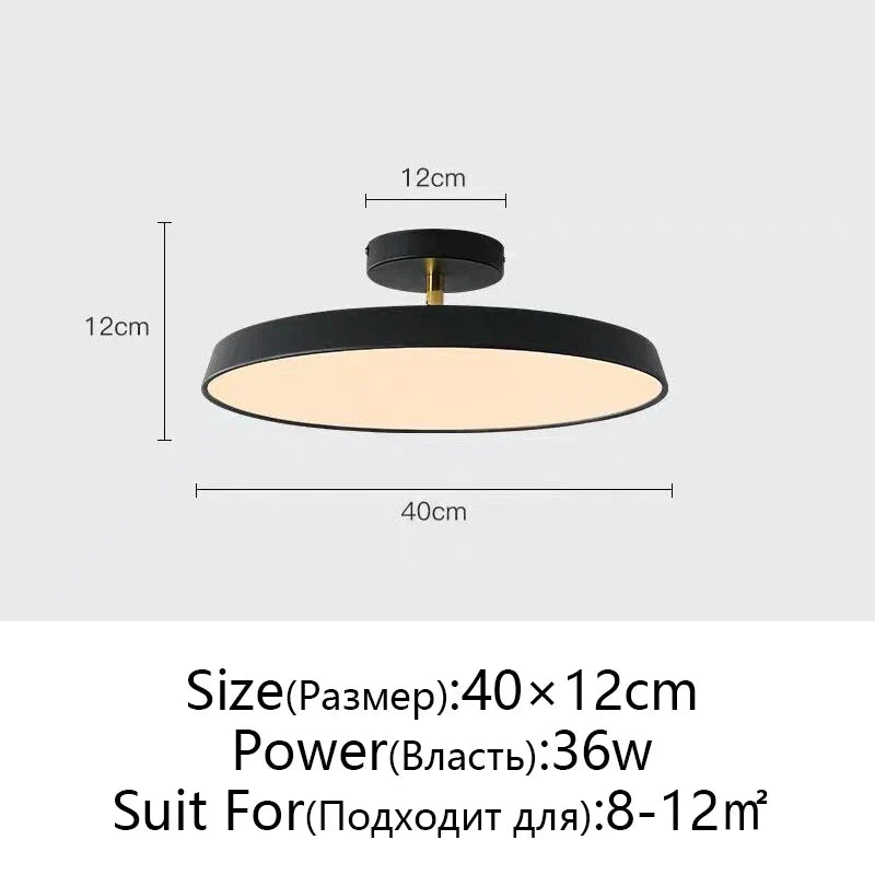 Nordic Minimalist LED Ceiling Lamp, Dimmable Modern Chandelier for Bedroom & Kitchen