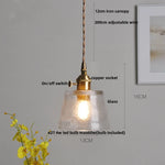 Walnut Wood Clear Glass LED Pendant Lamp - Nordic Modern Hanging Light