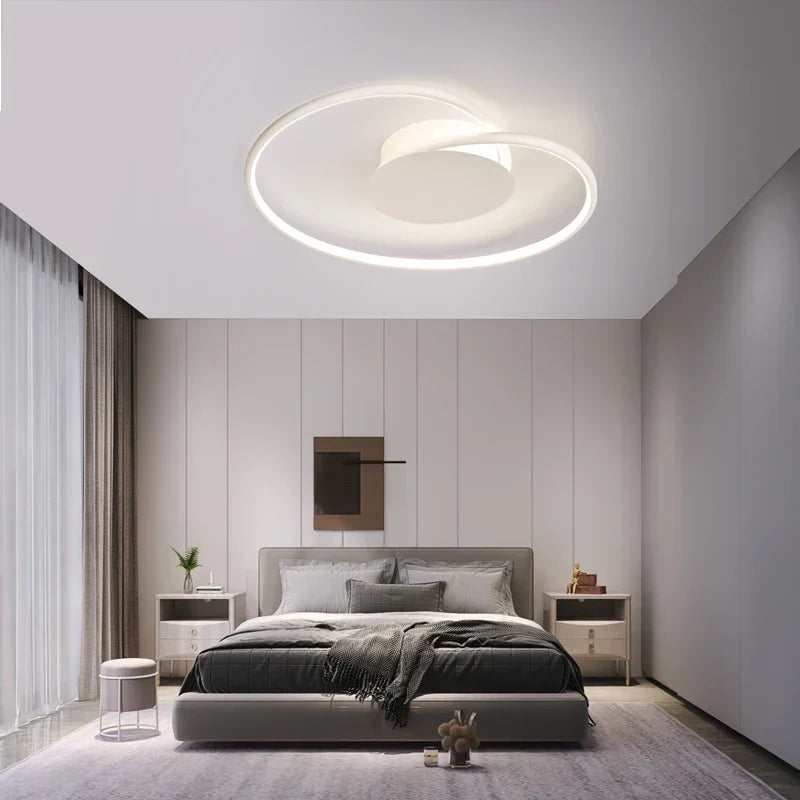 Love Shaped Ceiling Light for Bedroom, Living Room, Study, Restaurant