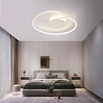 Love Shaped Ceiling Light for Bedroom, Living Room, Study, Restaurant