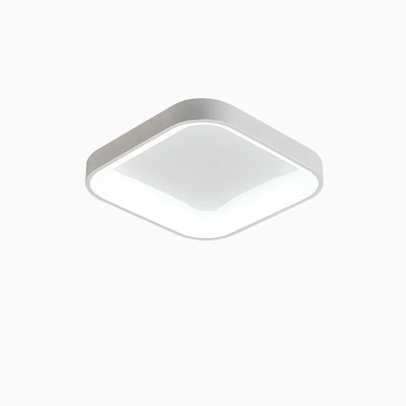 Nordic LED Ceiling Lights Dimmable for Home Decor Luminaires
