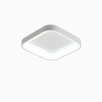 Nordic LED Ceiling Lights Dimmable for Home Decor Luminaires