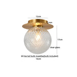 Iron Glass LED Ceiling Lamp Ball Shape Modern Living Room Light Fixtures