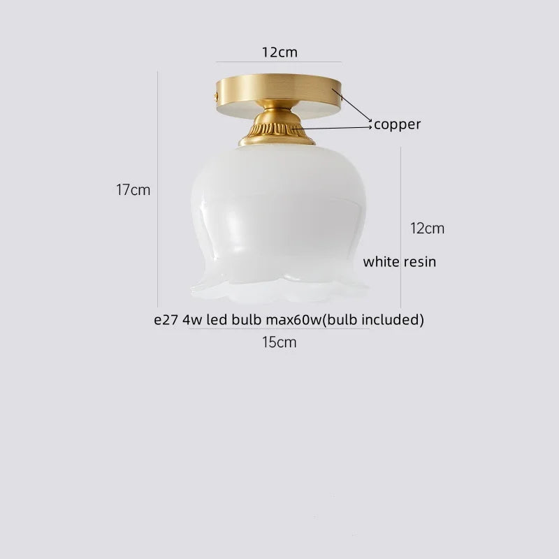 Walnut LED Ceiling Lamp Modern Indoor Lighting Fixture
