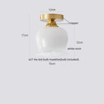 Walnut LED Ceiling Lamp Modern Indoor Lighting Fixture