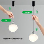 Nordic Chrome Globe Pendant Lights - Modern LED Indoor Light