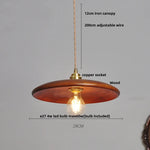 Walnut Wood LED Pendant Light, Modern Nordic Hanging Lamp for Home Decor