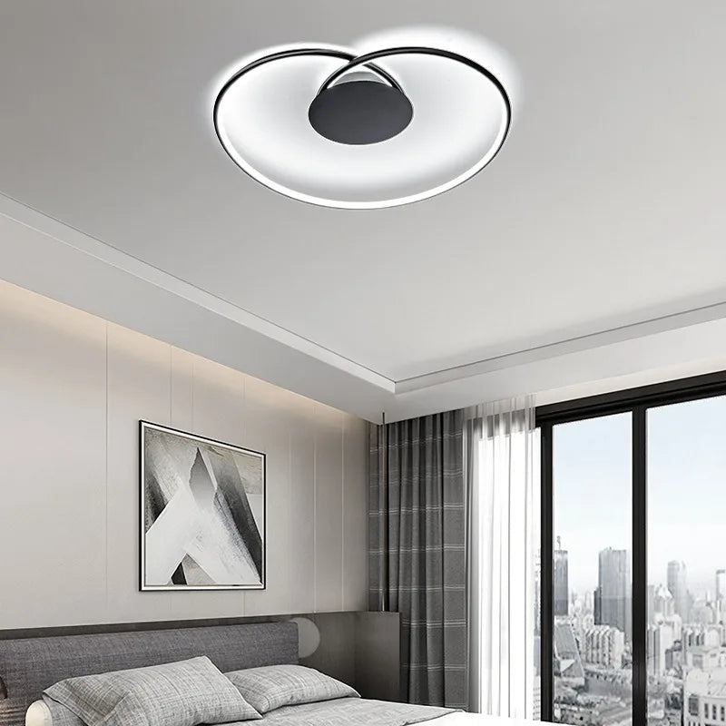 Love Shaped Ceiling Light for Bedroom, Living Room, Study, Restaurant