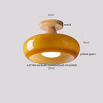 Walnut LED Ceiling Lamp Modern Indoor Lighting Fixture