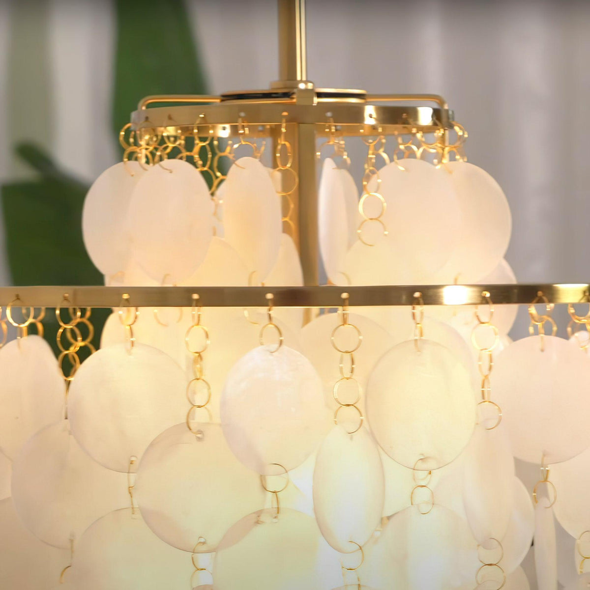 Shell Chandelier