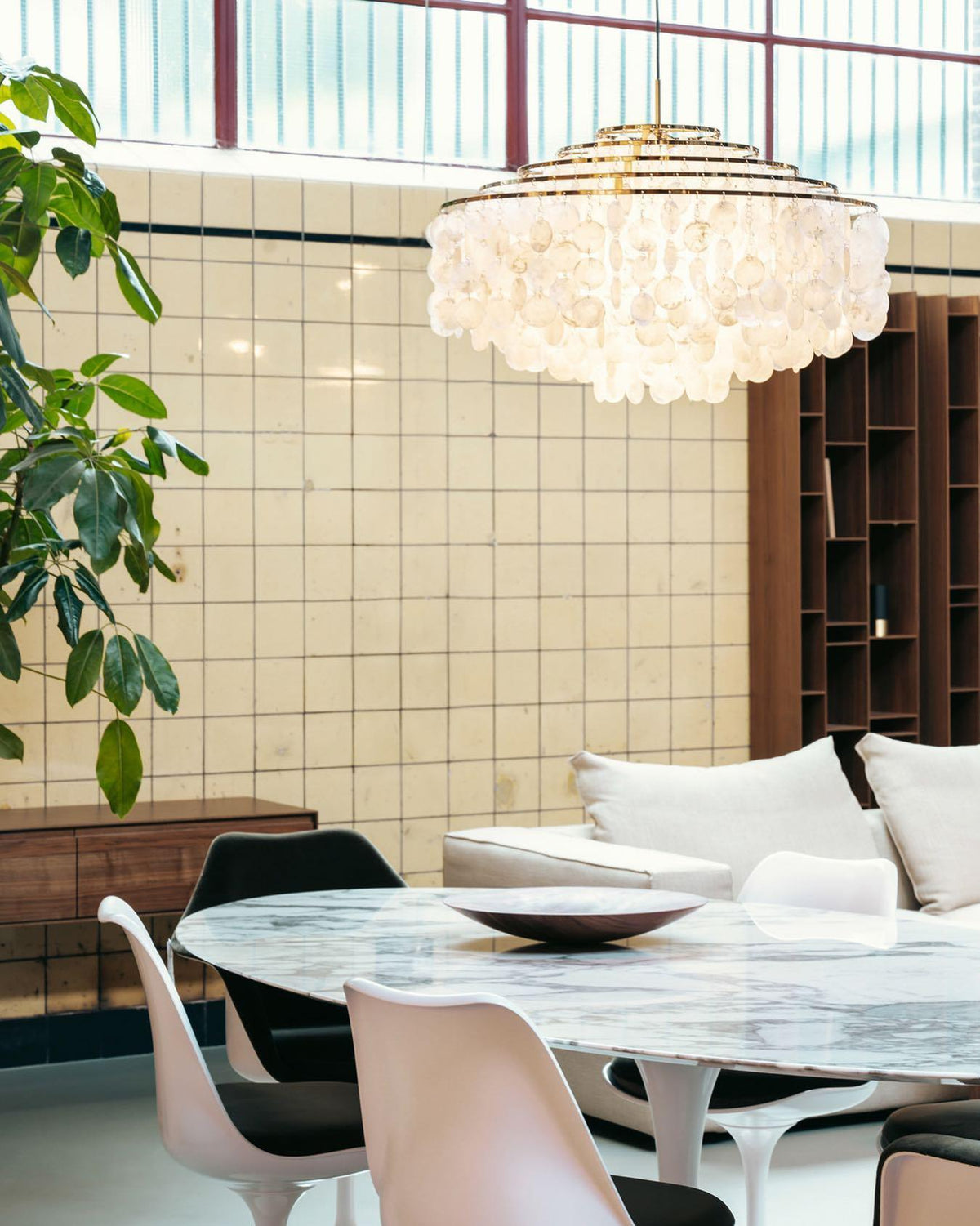 Shell Chandelier