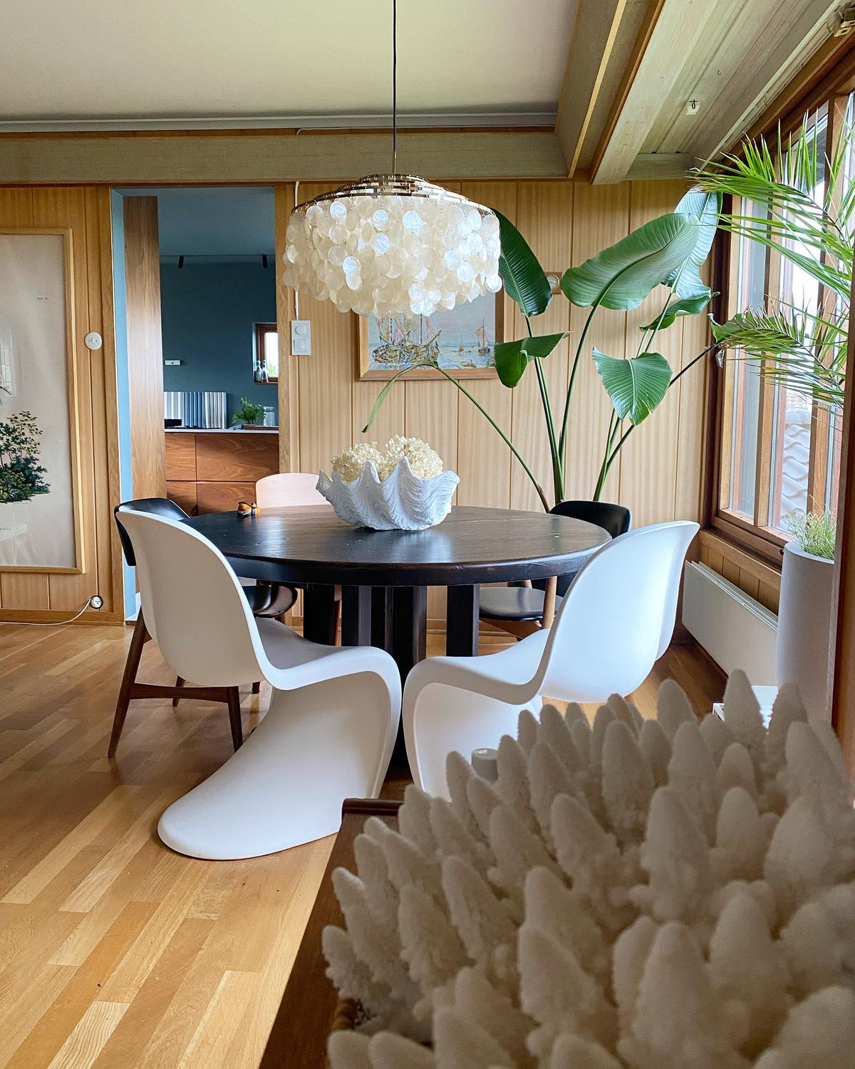 Shell Chandelier