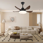 Lucas Ceiling Fan Light
