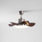 Terra Walnut Ceiling Fan Light