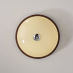 Tranquil Sphere Ceiling Light