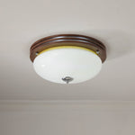 Tranquil Sphere Ceiling Light