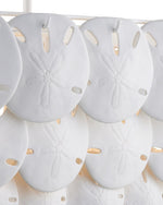 Bismarkia Medium White Chandelier