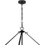 Bailey Street Home - 49-BEL-4955819 - City Pines - 22 Light Chandelier-55.25 Inches Tall and 40 Inches Wide