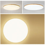 Circular Dimmable LED Nordic Ceiling Lights Flush Mount Lighting