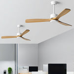 Frequency Conversion, Remote Control, Mute Ceiling Fan with Adjustable Wind Speed