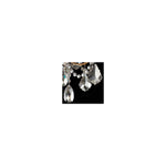 Schonbek New Orleans 3660 Chandelier