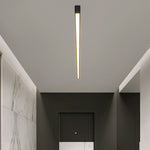 Minimalist Strip Stepless Dimming LED Modern Ceiling Light with Remote Control