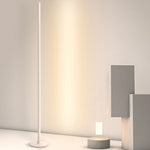 Minimalist Modern Strip LED Accent Floor Lamp