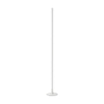 Minimalist Modern Strip LED Accent Floor Lamp